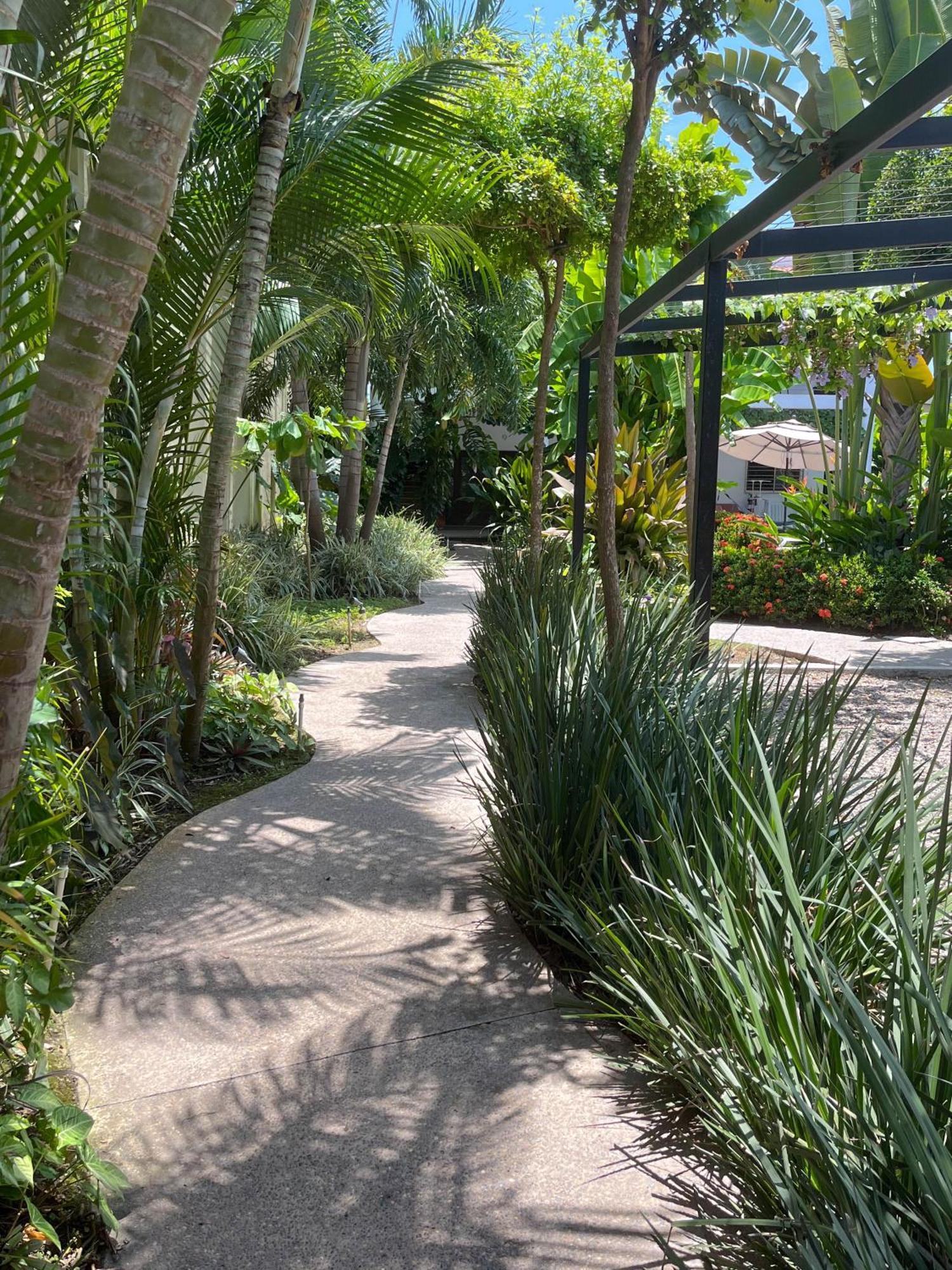 Los Gallos -Suite Vistas Panoramicas Lo de Marcos Exterior photo